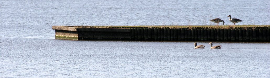 Lauwersmeer fietsroute